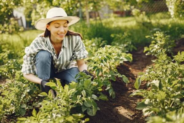 Sun Exposure and Vitamin D Synthesis